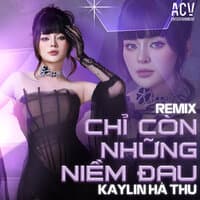 Chỉ Còn Những Niềm Đau