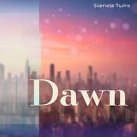 Dawn