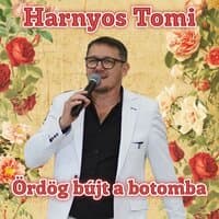 Harnyos Tomi