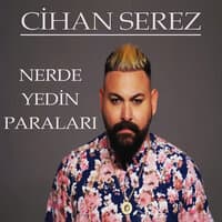 Nerde Yedin Paraları