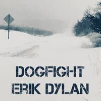 Dogfight