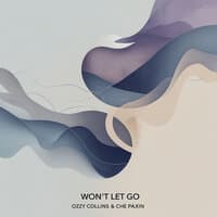 Won"T Let Go