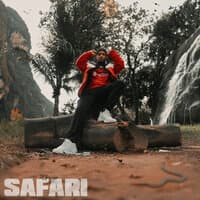 Safari