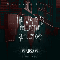 The World As Collective Reflections