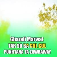 TAR SO BA GUL GUL PUKHTANA TA ZAWRAWAY