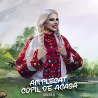 Am plecat copil de acasă