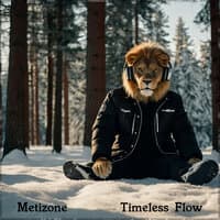 Timeless Flow