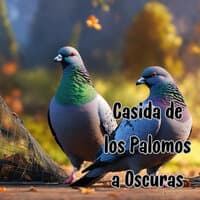 Casida de los Palomos a Oscuras