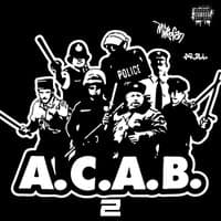 A.C.A.B. 2