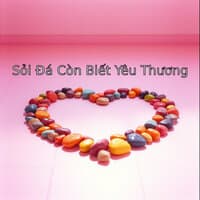 Sỏi Đá Còn Biết Yêu Thương