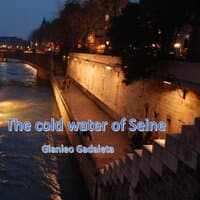 The Cold Water of Seine