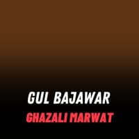 Gul Bajawar