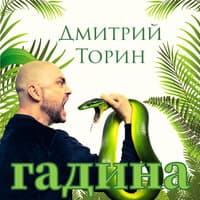 Дмитрий Торин