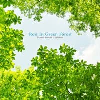 Rest in the green forest