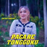 Pacare tonggoku