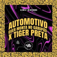 Automotivo - Quer Monta no Garupão X Tiger Preta