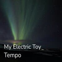 My Electric Toy