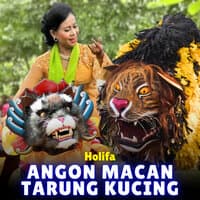 Angon Macan Tarung Kucing