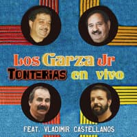 Tonterias (En Vivo)