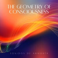 The Geometry Of Consciousness