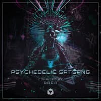 Psychedelic Satsang