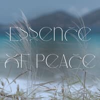 Essence of Peace