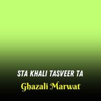 Sta Khali Tasveer Ta