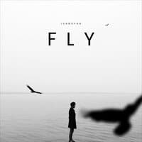 FLY