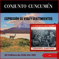 Expresión de Vida y Sentimientos - El Folklore de Chile, Vol. XIII