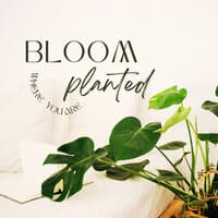 Bloom Where You Are Planted