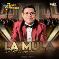 La Mula de Mi Compadre (Desde el Metropolitan)