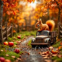 Harmony of Nature