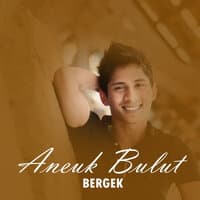 Aneuk Bulut