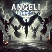 Angeli