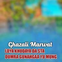 LOYA KHUDAYA DA STA DUMRA GUNAHGAA YU MUNG