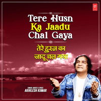 Tere Husn Ka Jaadu Chal Gaya