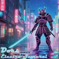 Electro Samurai