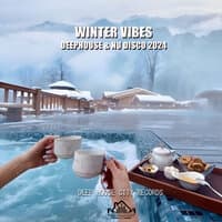 Winter Vibes DeepHouse & Nu Disco 2024