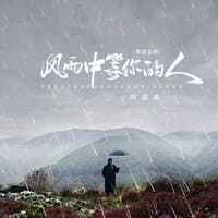 风雨中等你的人