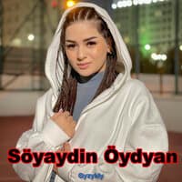 Söyaydin öydyan