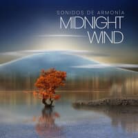 Midnight Wind