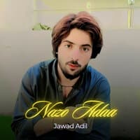 Jawad Adil