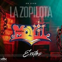 La Zopilota