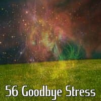 56 Goodbye Stress