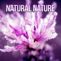 Natural Nature - Mute with Nature, New Energy, Murmur Brook, Sounds Water, Birds Twitter