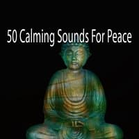 50 Calming Sounds For Peace