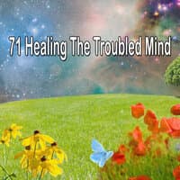 71 Healing the Troubled Mind