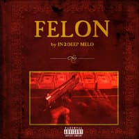 Felon