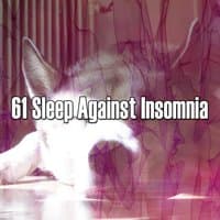 61 Sleep Against Insomnia