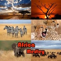 Africa Medley: Afrika / Dik-Dik / Dugn' Be' / Guro Zamble / Mambila / Bamanah n'  Goni / Shiko / Bwa Butterfly / Kilimanjaro / Kuru Ma We Ze / Sahel Promenade / Adras Des Iforas / Sanza / Zulu Dance